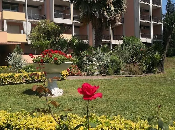 Aurelia Garden *