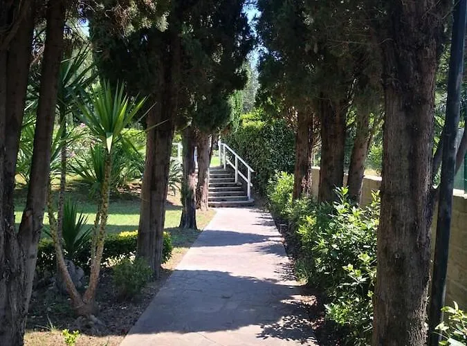 Aurelia Garden *